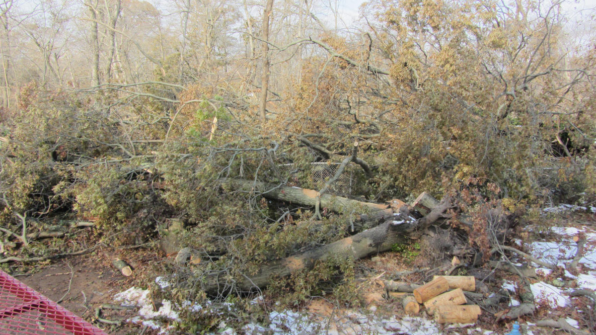 Hurricane Sandy Line Technicians on Site