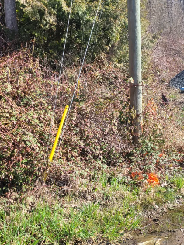 High-Voltage Line Inspection in Abbotsford, BC