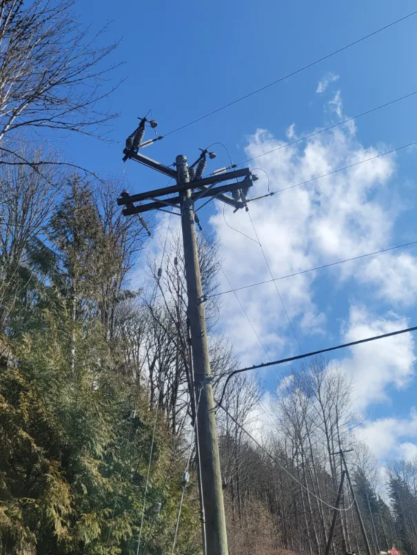 High-voltage line inspection view from the ground